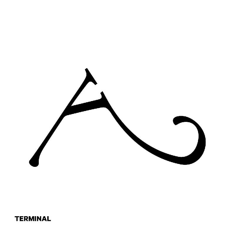 Design based on type anatomy